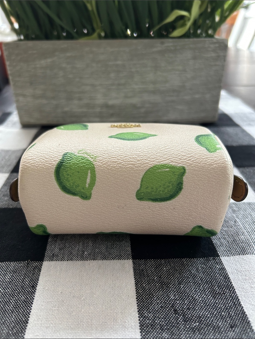 Coach Cream Cosmetic Pouch with Green Lime Print - Picture 4 of 5